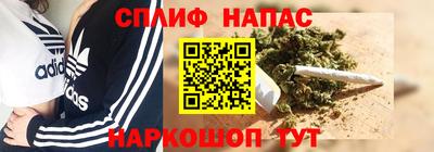 прущие грибы Заводоуковск