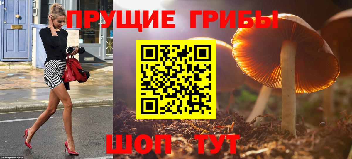 Гудермес  Галлюциногенные грибы GOLDEN TEACHER  Псилоцибиновые грибы MAGIC MUSHROOMS  Вход с VPN 