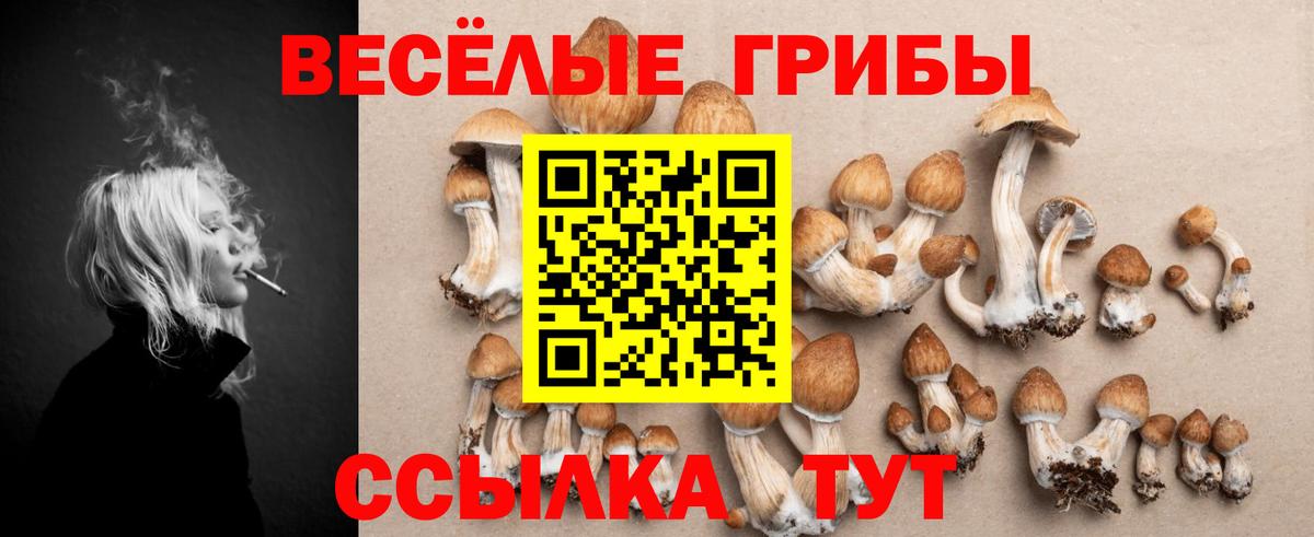 Галлюциногенные грибы ЛСД Гудермес